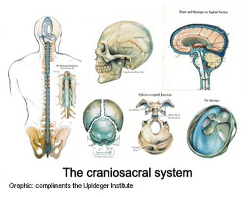 Cranial Sacral Therapy – Bethesda Salt Cave